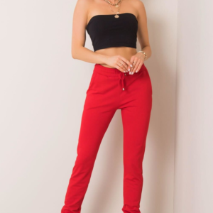 Tracksuit trousers model 161323 BFG -2